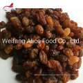 Bulk Packaging Factory Supply Dried Red Raisin Dried Sultana